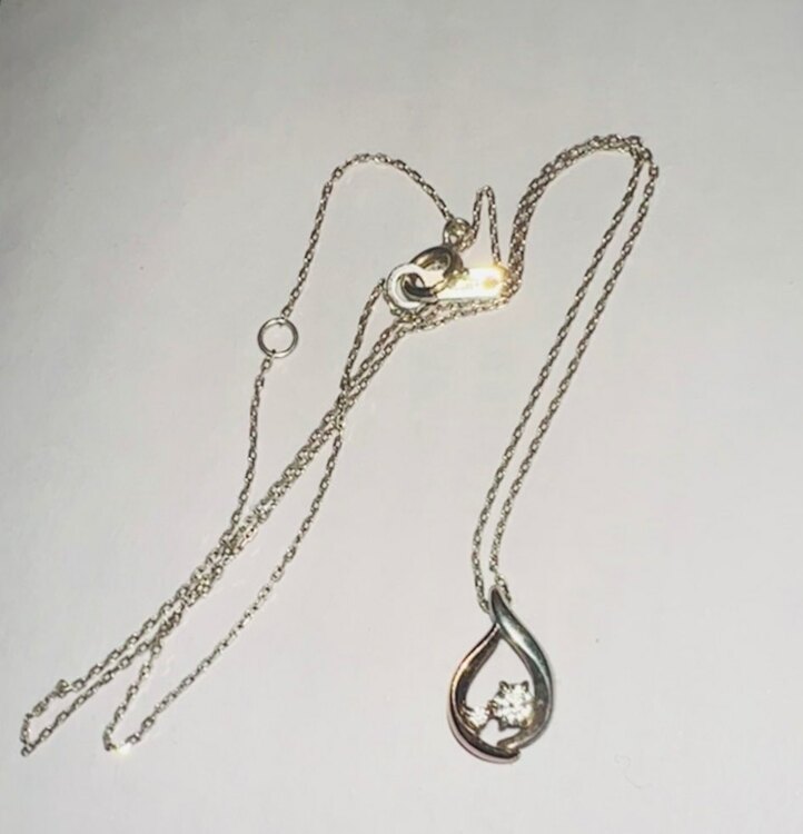 シルバーネックレス（金・貴金属）の商品画像 - 査定依頼日：2025年2月1日 - 最高査定価格：3,000円