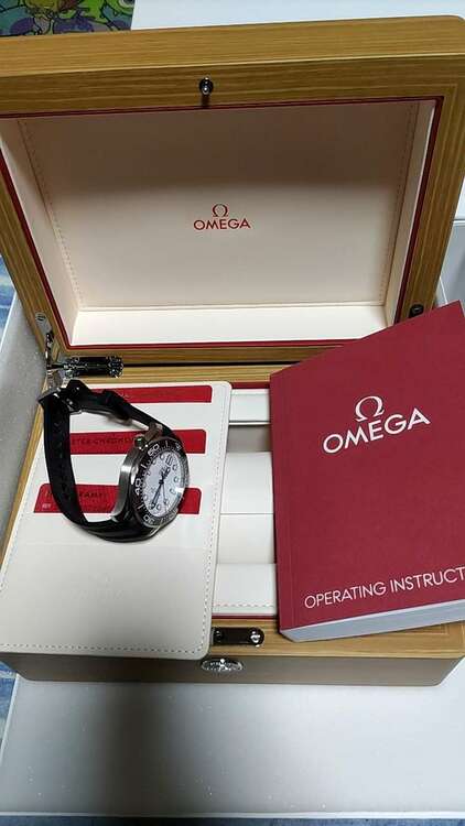 オメガ シーマスター 210.32.42.20.04.001（高級時計）の商品画像 - 査定依頼日：2025年5月13日 - 最高査定価格：630,000円