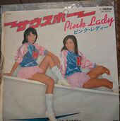 サウスポー（レコード）の商品画像 - 査定依頼日：2025年9月27日 - 最高査定価格：30円