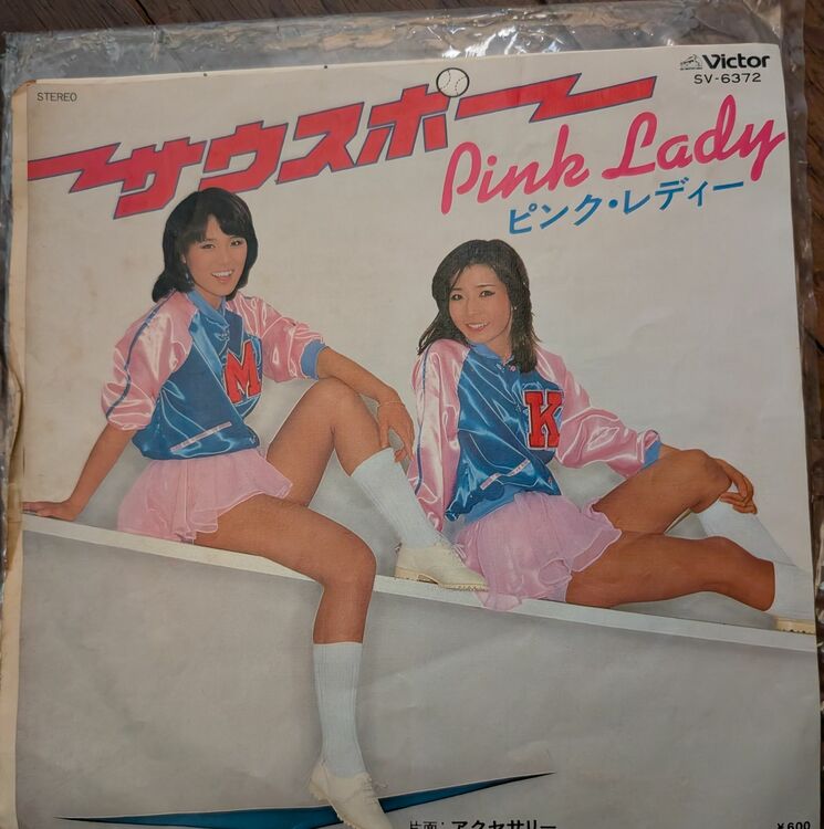 サウスポー（レコード）の商品画像 - 査定依頼日：2025年9月27日 - 最高査定価格：30円