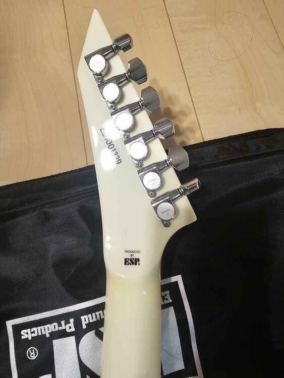 E-ALEXI SCYTHE アレキシ・ライホ シグネイチャー サイス エレキギ（ピアノ・楽器・PA機材）の商品画像 - 査定依頼日：2026年8月12日 - 最高査定価格：55,000円