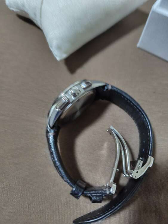 セイコー その他 SAGA251（高級時計）の商品画像 - 査定依頼日：2025年3月25日 - 最高査定価格：19,000円