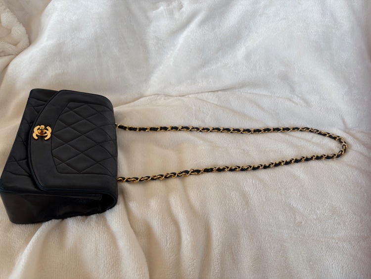 不明（ブランドバッグ）の商品画像 - 査定依頼日：2026年1月30日 - 最高査定価格：500,000円