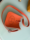 エヴリン（ブランドバッグ）の商品画像 - 査定依頼日：2026年2月17日 - 最高査定価格：350,000円