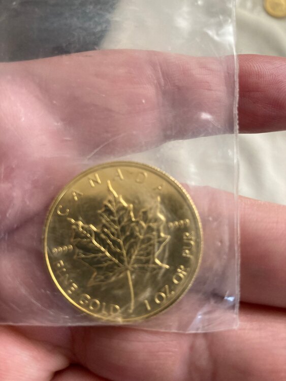 10万円金貨（金・貴金属）の商品画像 - 査定依頼日：2025年3月13日 - 最高査定価格：1,250,000円