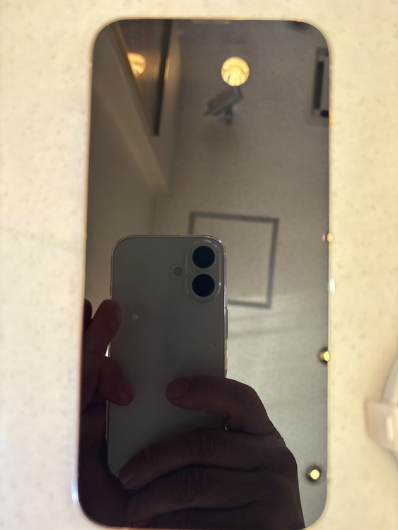 iPhone 13 Pro Max 256GB au（スマホ）の商品画像 - 査定依頼日：2026年1月29日 - 最高査定価格：57,000円