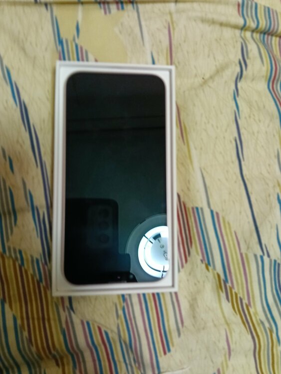 iPhone iPhone 17e 256GB Softbank（スマホ）の商品画像 - 査定依頼日：2026年9月28日 - 最高査定価格：89,000円
