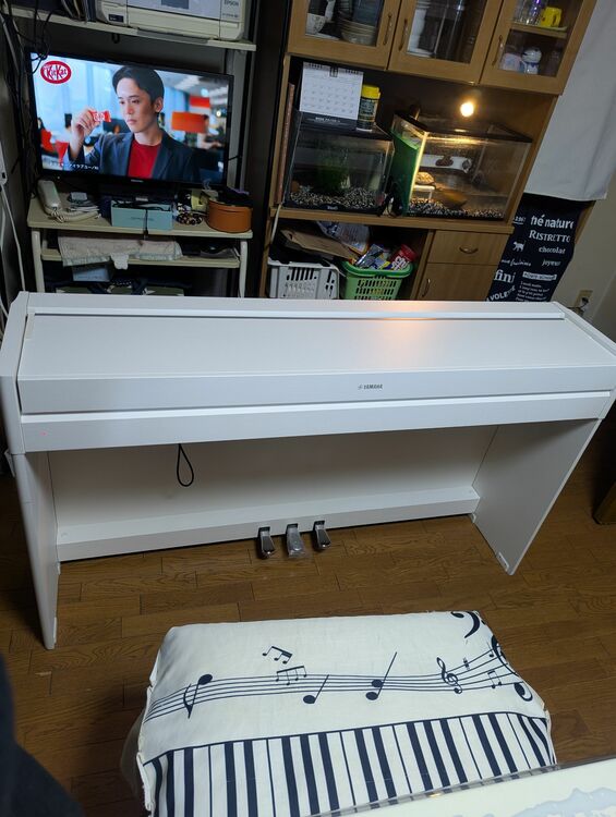 YDP-S54（ピアノ・楽器・PA機材）の商品画像 - 査定依頼日：2025年11月12日 - 最高査定価格：26,000円