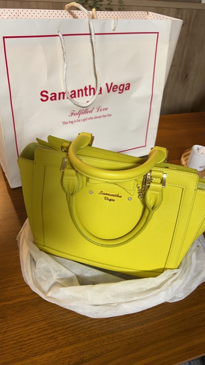その他 サマンサタバサ （ブランドバッグ）の商品画像 - 査定依頼日：2025年11月25日 - 最高査定価格：1,000円