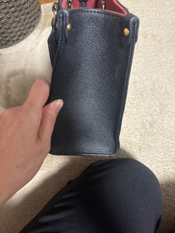 オンザゴー（ブランドバッグ）の商品画像 - 査定依頼日：2025年10月17日 - 最高査定価格：310,000円