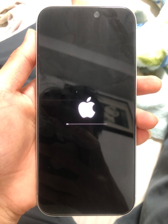 iPhone iPhone 17 Pro Max 256GB 楽天モバイル（スマホ）の商品画像 - 査定依頼日：2026年6月12日 - 最高査定価格：165,000円