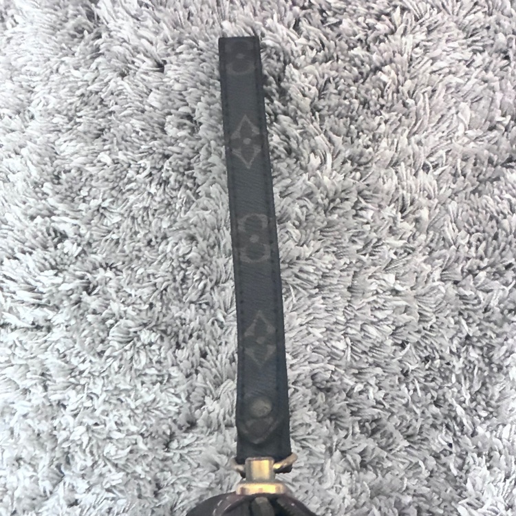 ルイビトンハンドバッグ（ブランドバッグ）の商品画像 - 査定依頼日：2026年2月2日 - 最高査定価格：6,000円