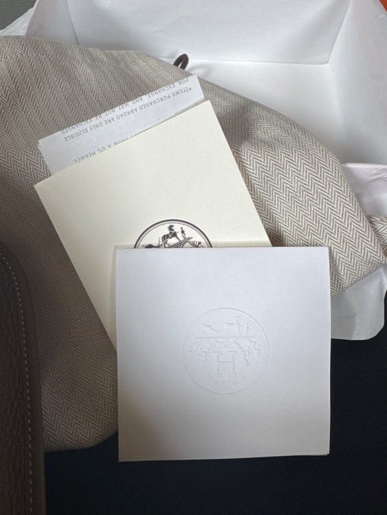 ミニエブリン（ブランドバッグ）の商品画像 - 査定依頼日：2025年8月24日 - 最高査定価格：400,000円