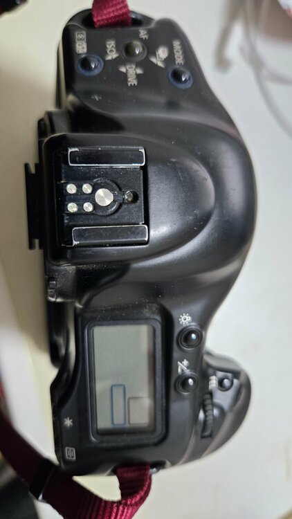 イオス1V（カメラ）の商品画像 - 査定依頼日：2026年1月22日 - 最高査定価格：80,000円