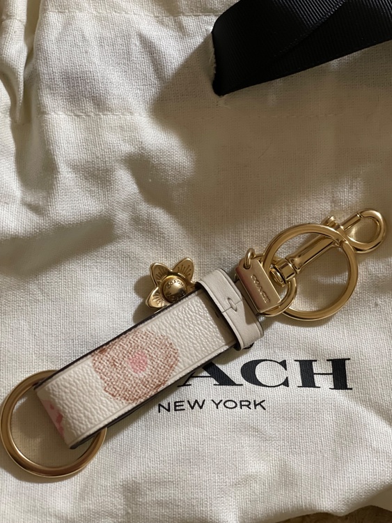 COACH（コーチ）の「フローラル プリント トリガー スナップ バッグ チャー（古着・ファッション）の商品画像 - 査定依頼日：2026年10月5日 - 最高査定価格：1,000円