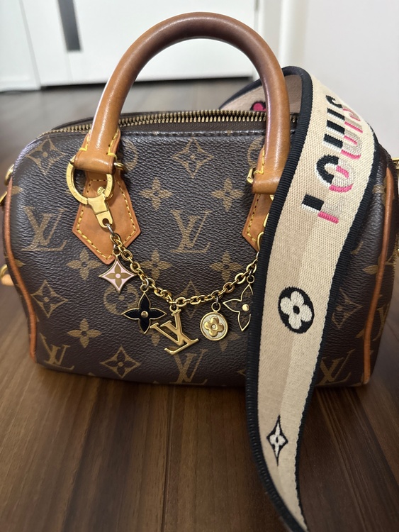 ルイヴィトン アルマ （ブランドバッグ）の商品画像 - 査定依頼日：2025年12月27日 - 最高査定価格：310,000円