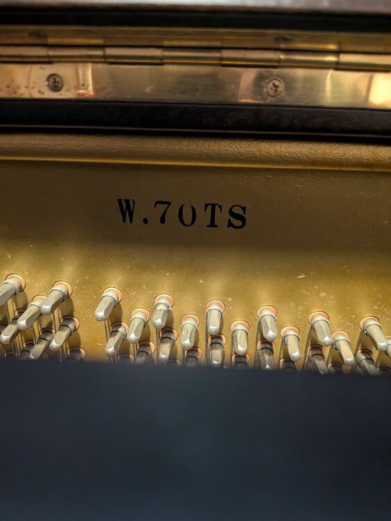 アイゼナハW70TS（ピアノ・楽器・PA機材）の商品画像 - 査定依頼日：2025年11月21日 - 最高査定価格：100,000円