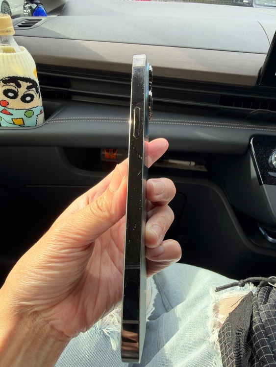 iPhone iPhone 13 Pro Max 256GB au（スマホ）の商品画像 - 査定依頼日：2026年10月4日 - 最高査定価格：64,000円