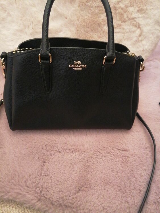 その他 コーチ （ブランドバッグ）の商品画像 - 査定依頼日：2025年6月14日 - 最高査定価格：700円