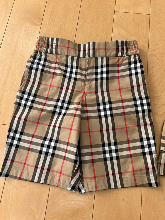 その他 バーバリー （ブランドバッグ）の商品画像 - 査定依頼日：2025年1月10日 - 最高査定価格：5,000円