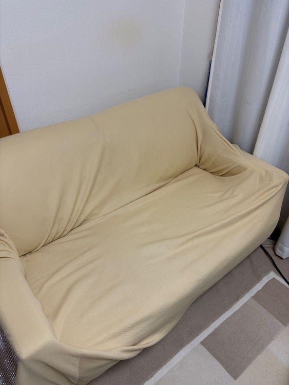 ソファ（家具・寝具）の商品画像 - 査定依頼日：2026年3月6日 - 最高査定価格：3,000円