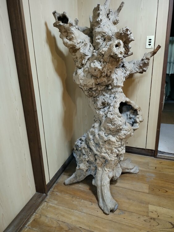 瘤木（原木）（美術品・骨董品）の商品画像 - 査定依頼日：2026年9月29日 - 最高査定価格：3,000円