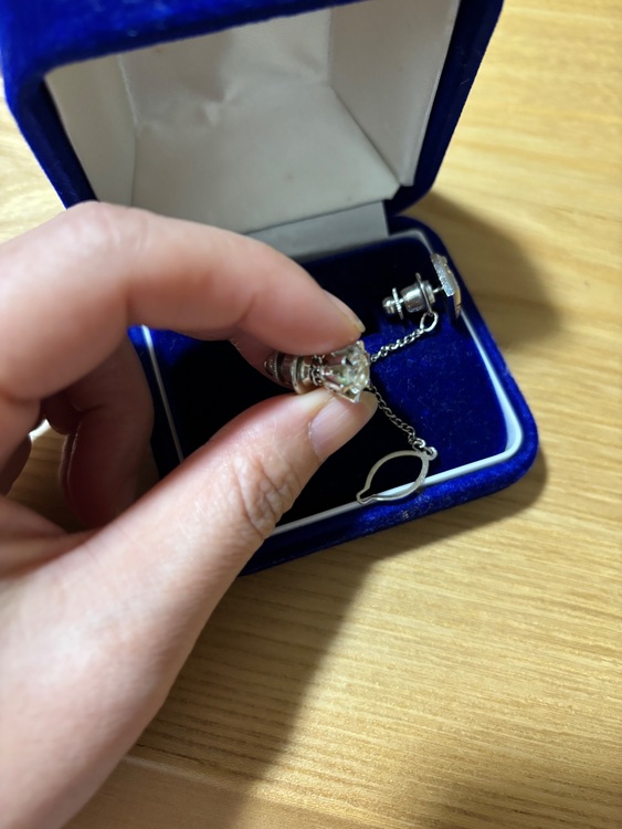 ダイヤネクタイピン（宝石）の商品画像 - 査定依頼日：2025年11月3日 - 最高査定価格：100,000円