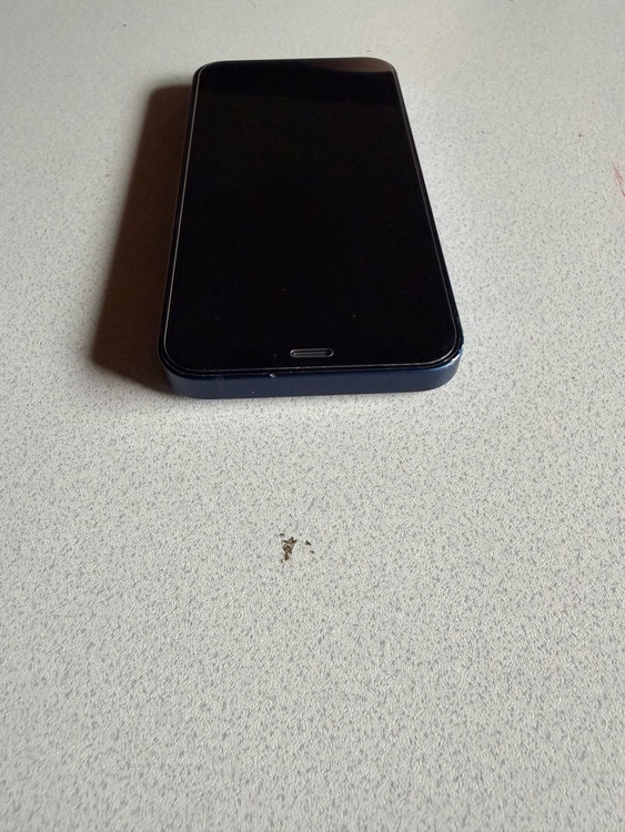iPhone iPhone 12 mini 64GB au（スマホ）の商品画像 - 査定依頼日：2026年6月27日 - 最高査定価格：14,000円