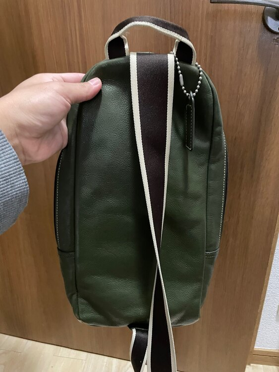 その他 コーチ （ブランドバッグ）の商品画像 - 査定依頼日：2025年3月9日 - 最高査定価格：100,000円