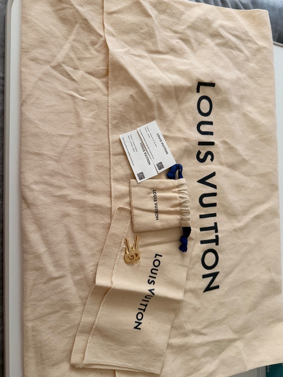 ルイヴィトン スピーディー （ブランドバッグ）の商品画像 - 査定依頼日：2025年11月18日 - 最高査定価格：280,000円