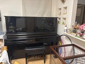HQ300 5232148（ピアノ・楽器・PA機材）の商品画像 - 査定依頼日：2026年4月22日 - 最高査定価格：20,000円