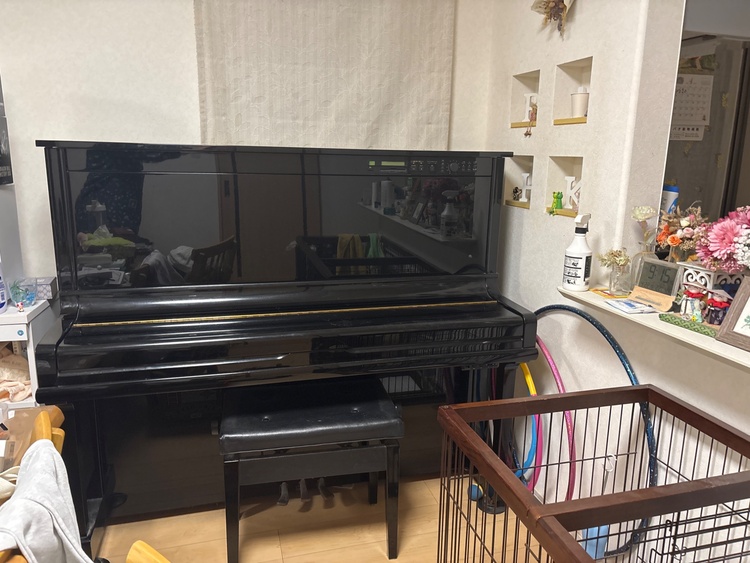HQ300 5232148（ピアノ・楽器・PA機材）の商品画像 - 査定依頼日：2026年4月22日 - 最高査定価格：20,000円
