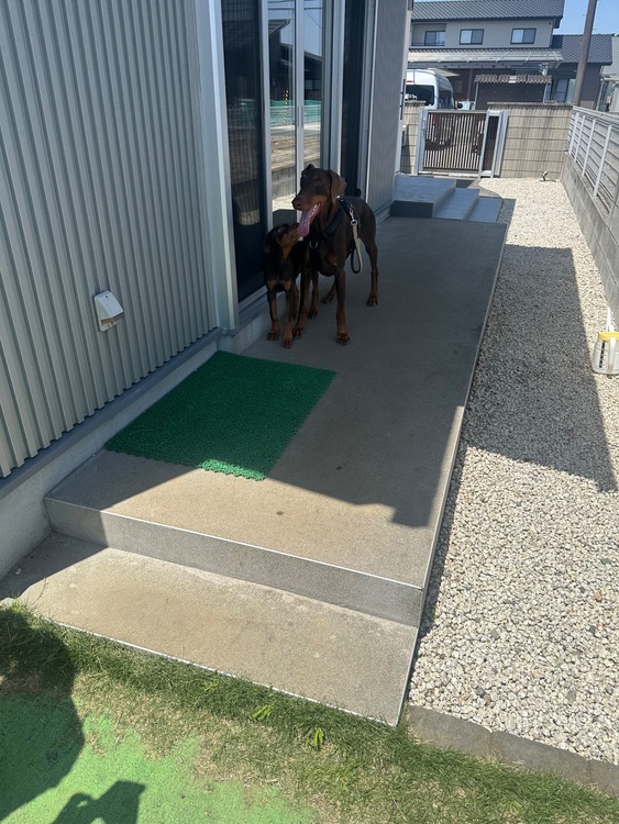 ブライトリング スーパーオーシャン （高級時計）の商品画像 - 査定依頼日：2025年7月23日 - 最高査定価格：600,000円