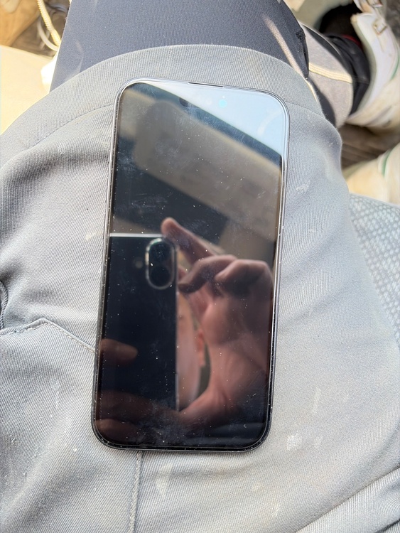 iPhone iPhone 15 256GB SIMフリー（スマホ）の商品画像 - 査定依頼日：2026年6月1日 - 最高査定価格：71,000円