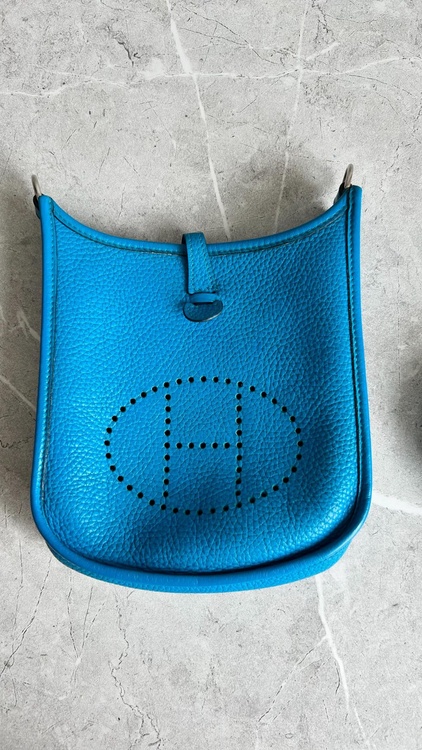 エブリンミニ（ブランドバッグ）の商品画像 - 査定依頼日：2026年1月16日 - 最高査定価格：330,000円