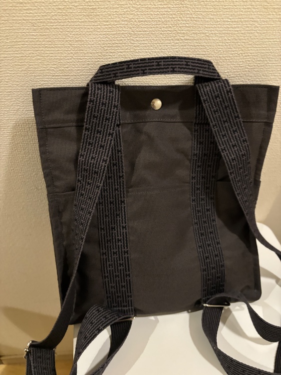エールライン　リュック（ブランドバッグ）の商品画像 - 査定依頼日：2026年6月9日 - 最高査定価格：30,000円