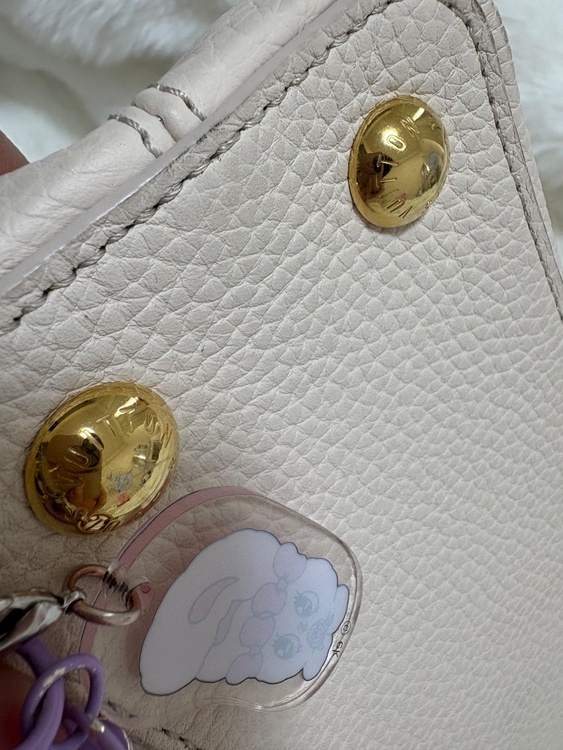 ルイヴィトン ルイヴィトン(その他) （ブランドバッグ）の商品画像 - 査定依頼日：2025年12月17日 - 最高査定価格：350,000円