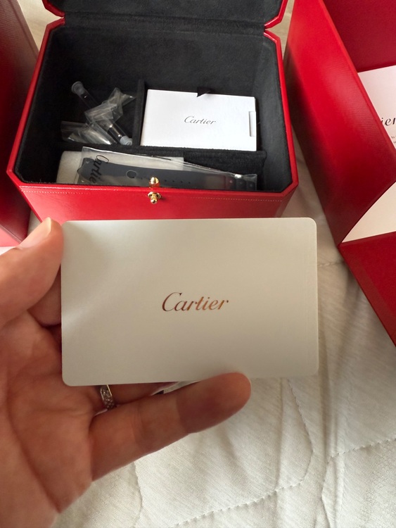 サントスドゥカルティエ　LM WSSA0037（高級時計）の商品画像 - 査定依頼日：2025年10月7日 - 最高査定価格：1,000,000円