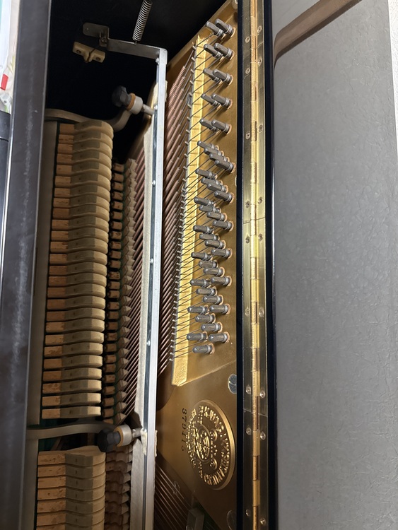 379415（ピアノ・楽器・PA機材）の商品画像 - 査定依頼日：2026年4月18日 - 最高査定価格：20,000円