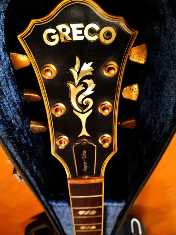 GRECO SV800 Super View（ピアノ・楽器・PA機材）の商品画像 - 査定依頼日：2026年2月2日 - 最高査定価格：120,000円