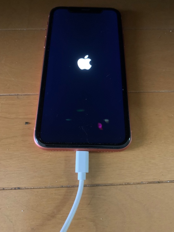 iPhone XR （スマホ）の商品画像 - 査定依頼日：2026年4月23日 - 最高査定価格：14,000円