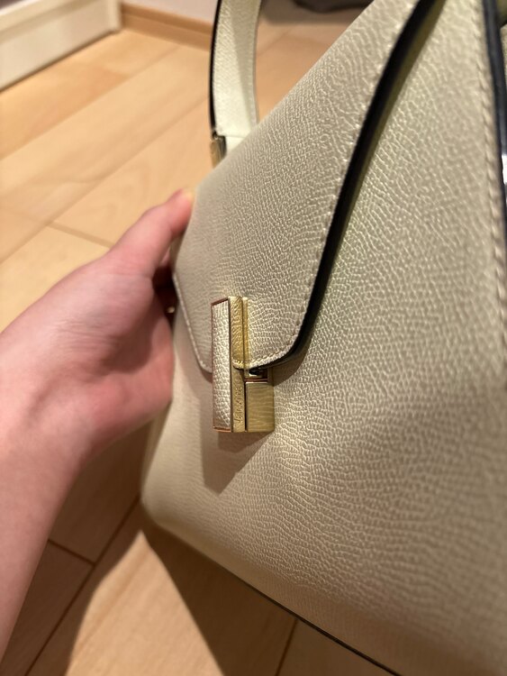 ヴァレクストラ  （ブランドバッグ）の商品画像 - 査定依頼日：2025年2月26日 - 最高査定価格：200,000円