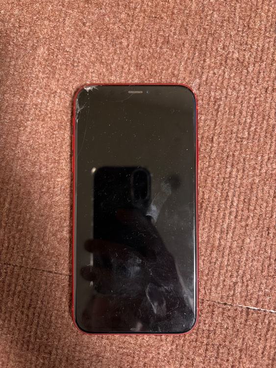 iPhoneXR 256GB Softbank（スマホ）の商品画像 - 査定依頼日：2026年2月5日 - 最高査定価格：10,000円