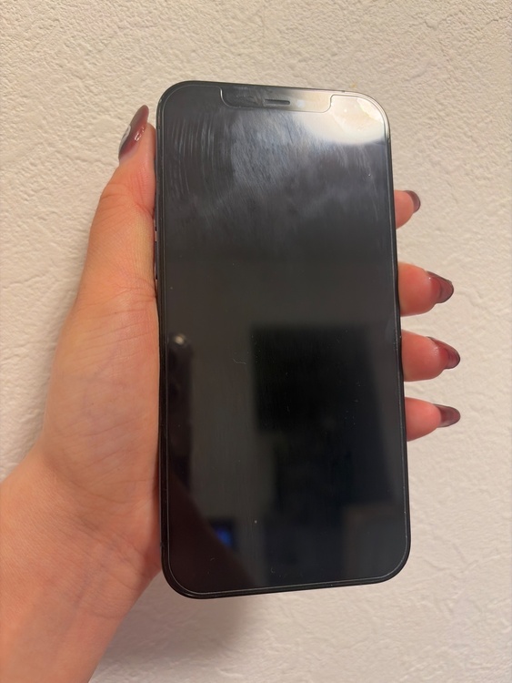 iPhone 12 Pro 256GB SIMフリー（スマホ）の商品画像 - 査定依頼日：2026年3月30日 - 最高査定価格：31,000円