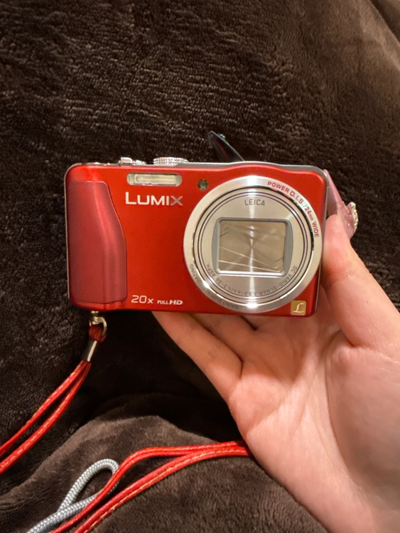 LUMIX DMC-TZ30（カメラ）の商品画像 - 査定依頼日：2026年3月8日 - 最高査定価格：6,000円