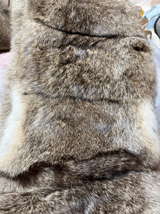 ルイヴィトン ルイヴィトン(その他) （ブランドバッグ）の商品画像 - 査定依頼日：2026年2月10日 - 最高査定価格：105,000円