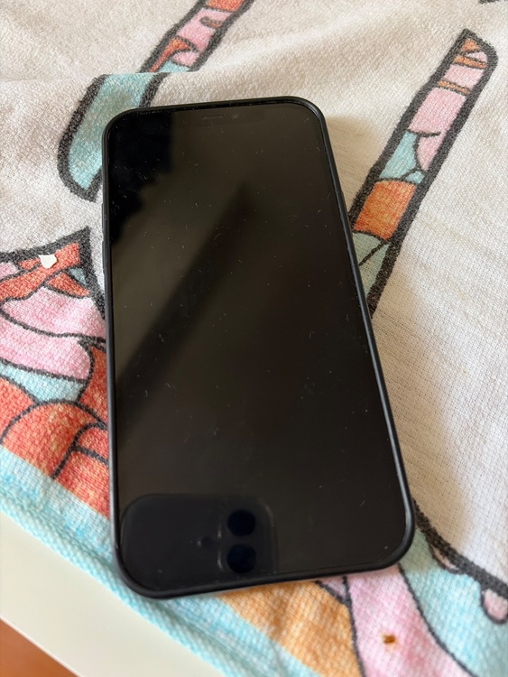 iPhone iPhone 12 128GB docomo（スマホ）の商品画像 - 査定依頼日：2026年6月11日 - 最高査定価格：27,500円