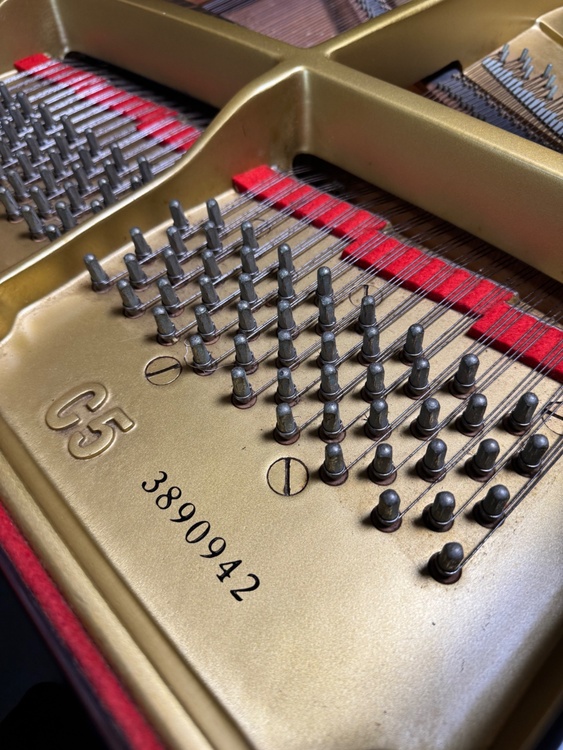 C5  3890942  （ピアノ・楽器・PA機材）の商品画像 - 査定依頼日：2026年1月21日 - 最高査定価格：10,000円