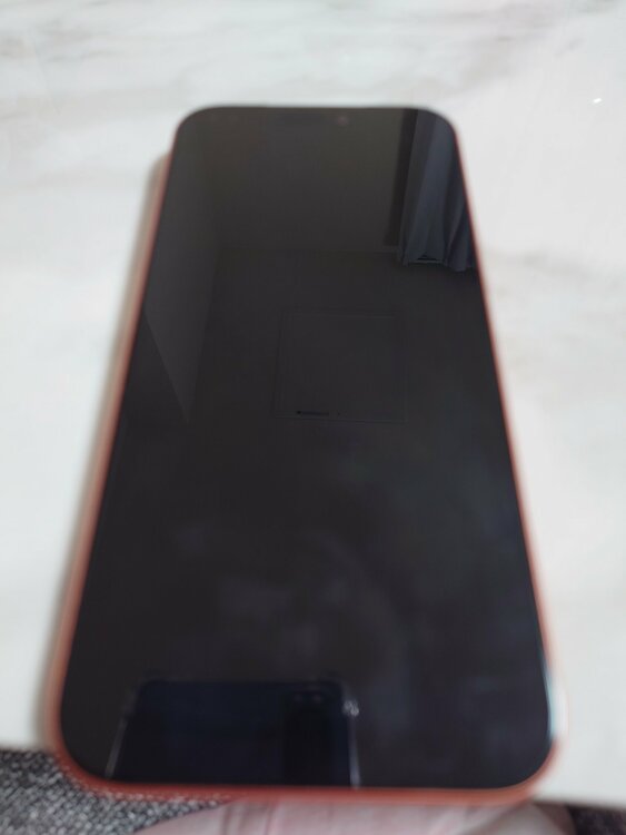 iPhone iPhone 17 Pro Max 256GB SIMフリー（スマホ）の商品画像 - 査定依頼日：2026年9月8日 - 最高査定価格：165,000円