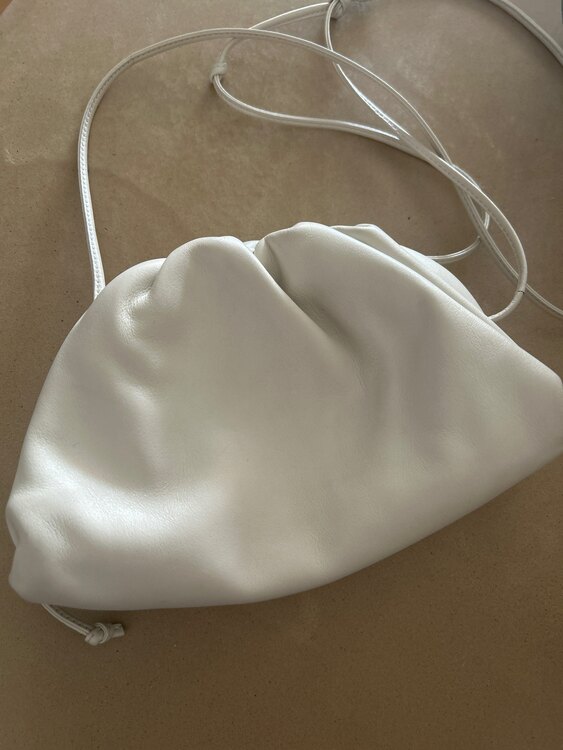 ミニポーチ（ブランドバッグ）の商品画像 - 査定依頼日：2024年12月19日 - 最高査定価格：55,000円